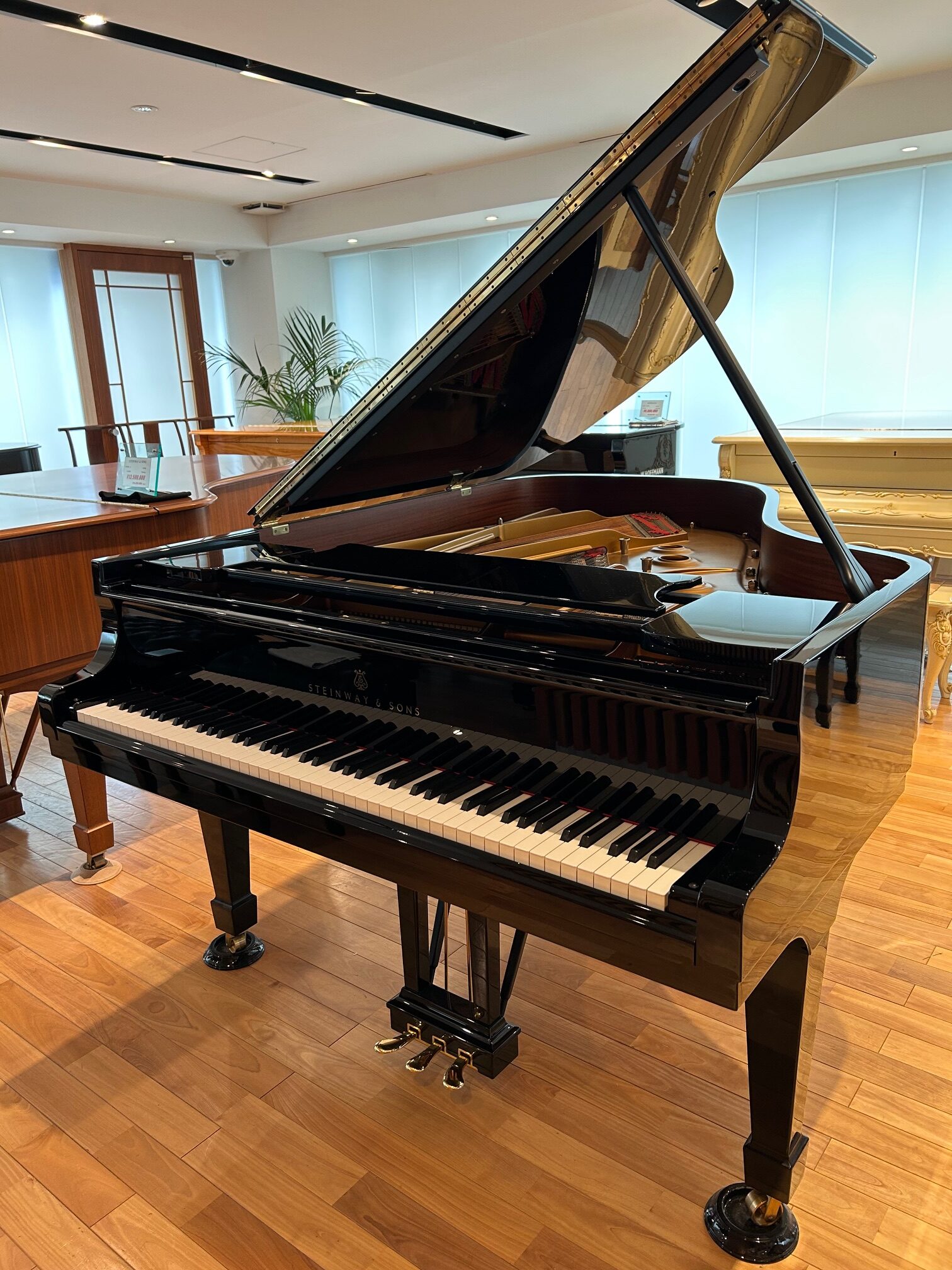 スタインウェイa544-2
