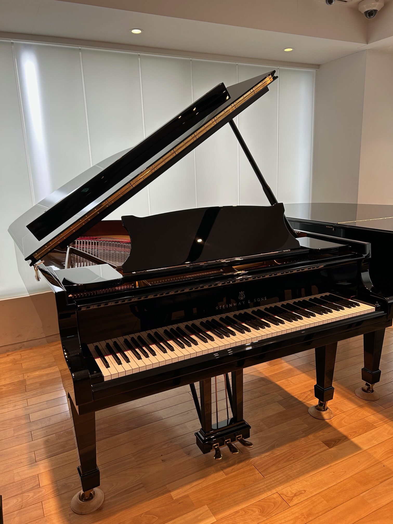 スタインウェイB568-5