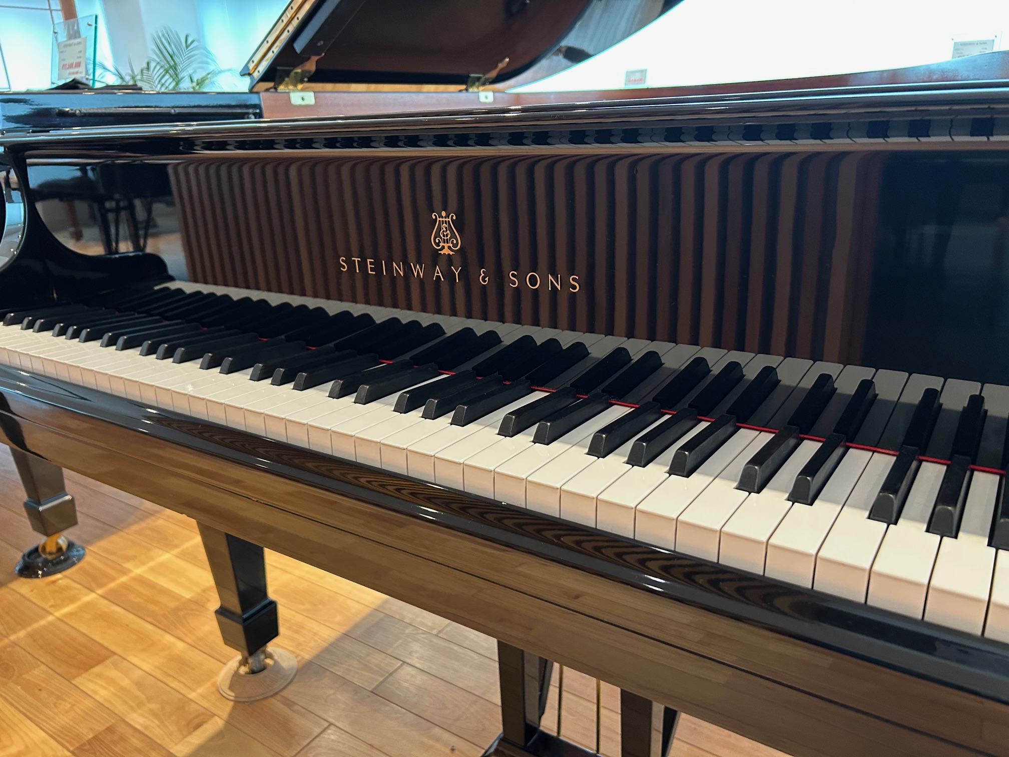 スタインウェイo537-6