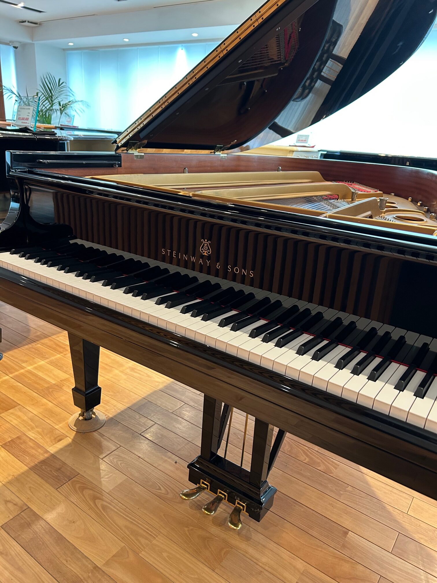 スタインウェイo537-7